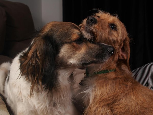 What is the impact of 5G on the UK automotive industry?